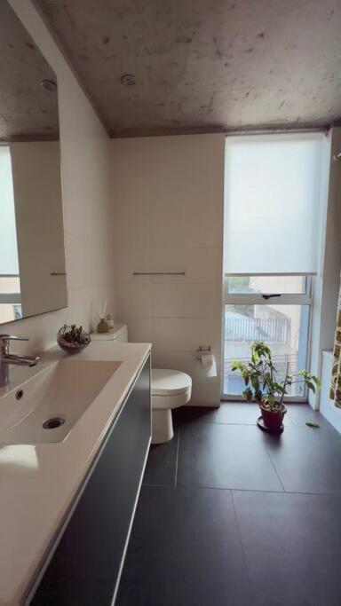 Hermoso Duplex En Cerro Alegre Con Vista Al Mar Y Cerros Appartamento *