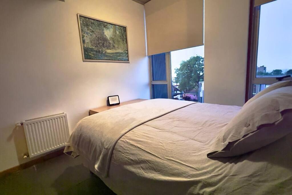 Hermoso Duplex En Cerro Alegre Con Vista Al Mar Y Cerros Valparaíso
